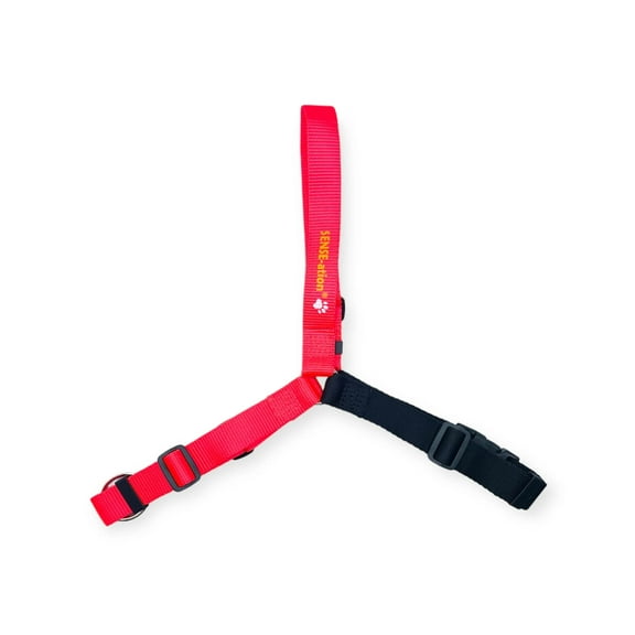 SENSE-ation® No-Pull Dog Training Harness Large 1" Orange