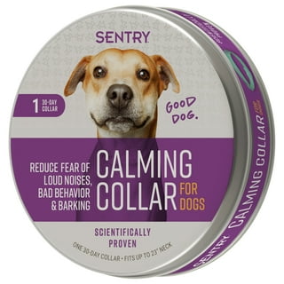 Zylkene petsmart best sale