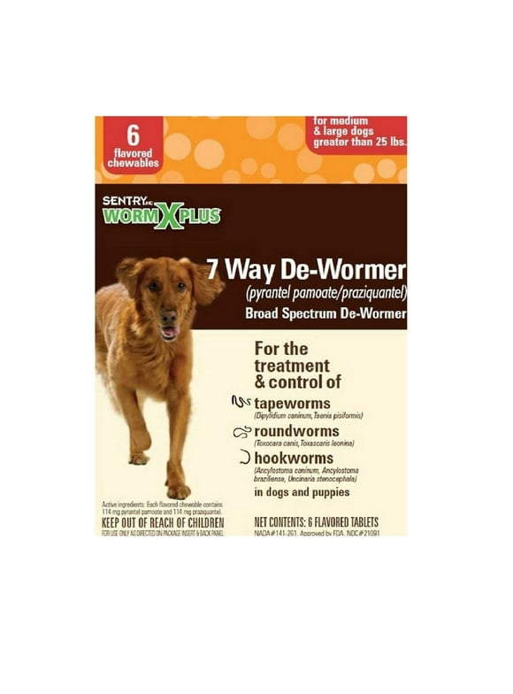 Dog Dewormers in Dog Health and Wellness