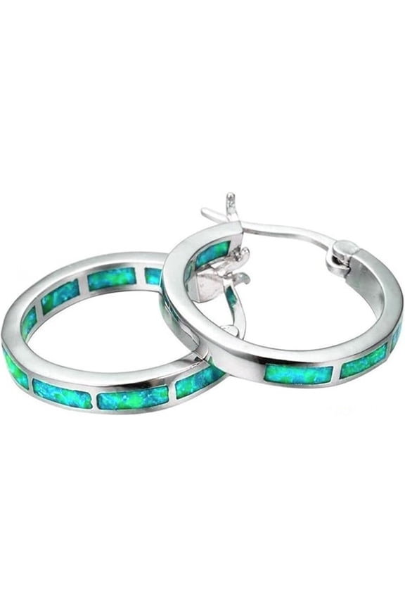 925 Sterling Silver Earrings for Women Cubic Zirconia Hoop Earrings Birthday Valentines Day Gift for Her