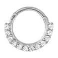 thumbnail image 1 of SEPARQI Titanium Micro Cubic Zirconia Hinged Nose Hoop Ring Body Jewelry Unisex, 1 of 4