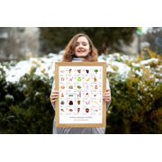 SERBIAN Alphabet POSTER Print With Words And English Translations 16 x 20 inches
