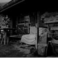 thumbnail image 1 of SERPENTINE, 1 of 1