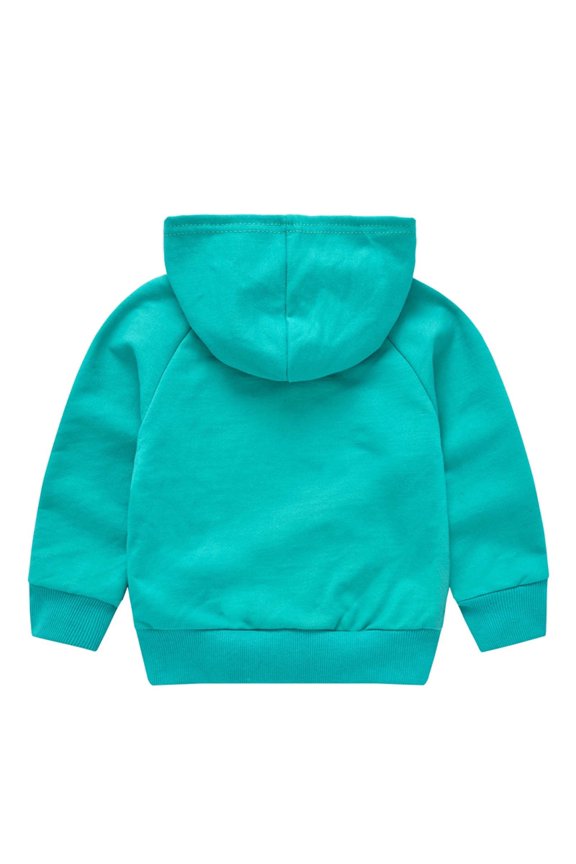 Children Christmas Sweatshirt with Santa Claus Printing Fall Winter Hoodie Long Sleeves Pocketless Coat for Kids 3-8 Years(Green#2,3-4 Years)