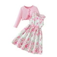 thumbnail image 1 of SERTG Girls' Cute Print 2-Piece Set Puffed Short Sleeve Top with Lace Trimming + Bow Detail Skirt Playful Outfit for Children 3-10 Years(Pink,4 Years), 1 of 9