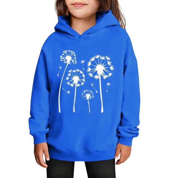 SERTG Girls Valentine's Hooded Sweatshirt Long Sleeve Casual with Heart Print Kids Spring Fall Fleece-Lined Solid Color Everyday Top(Blue#1,3 Years)