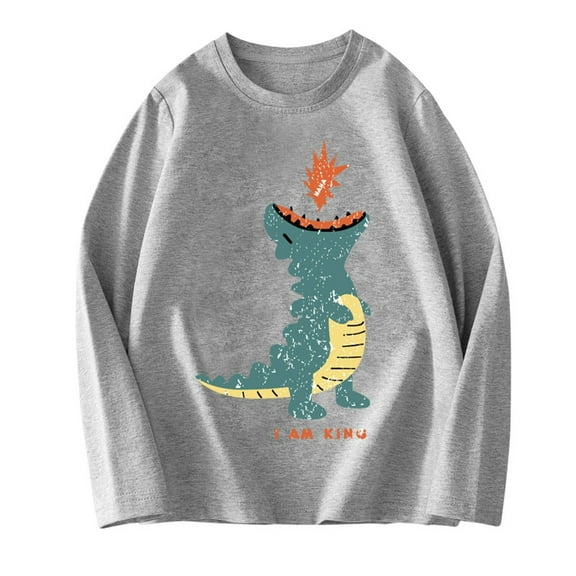 SERTG Kids Child Cute Print Long Sleeve T Shirts Children's Base Shirt Solid Color Spring Fall Tops Crewneck Tees for Children 2-12 Years(Gray#2,4 Years)