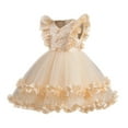 thumbnail image 1 of SERTG Little Girls' Party Dress Sheer Paneled Skirt with Back Zipper Short Sleeve Round Neck Princesse Outfit for 1-9 Years(Beige,8 Years), 1 of 5