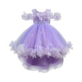 thumbnail image 1 of SERTG Little Girls' Party Dress Sheer Paneled Skirt with Back Zipper Short Sleeve Round Neck Princesse Outfit for 1-9 Years(Purple,4 Years), 1 of 5