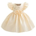 thumbnail image 1 of SERTG Little Girls' Party Dress Sheer Paneled Skirt with Back Zipper Short Sleeve Round Neck Princesse Outfit for 6 Months-4 Years(Beige,12 Months), 1 of 6
