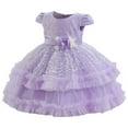 thumbnail image 1 of SERTG Little Girls' Party Dress Sheer Paneled Skirt with Back Zipper Short Sleeve Round Neck Princesse Outfit for 6 Months-4 Years(Purple,2 Years), 1 of 5