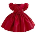 thumbnail image 1 of SERTG Little Girls' Party Dress Sheer Paneled Skirt with Back Zipper Short Sleeve Round Neck Princesse Outfit for 6 Months-4 Years(Red,3 Years), 1 of 6