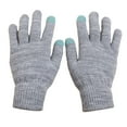 thumbnail image 1 of SERTG Womens Solid Color Winter Plush Gloves Fleece-Lined Thickened Windproof Touchscreen Outdoor Warm Classic Handwear Gloves(Gray,Free Size), 1 of 3