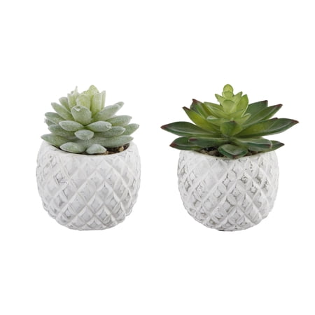 SET OF 2 Pineapple Pot Succ