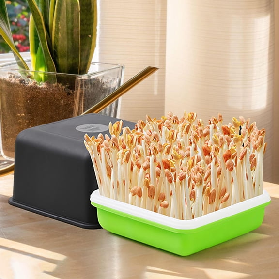 SEWACC 1Set Gardening Tray Black Hydroponic Propagation Kit with Lid for Seed Starting