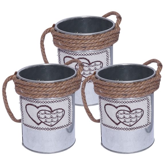 SEWACC 3-Pack Heart Metal Tin Buckets for Gardening, Plant Pots, Home Decoration, Outdoor Planting, and Flower Display