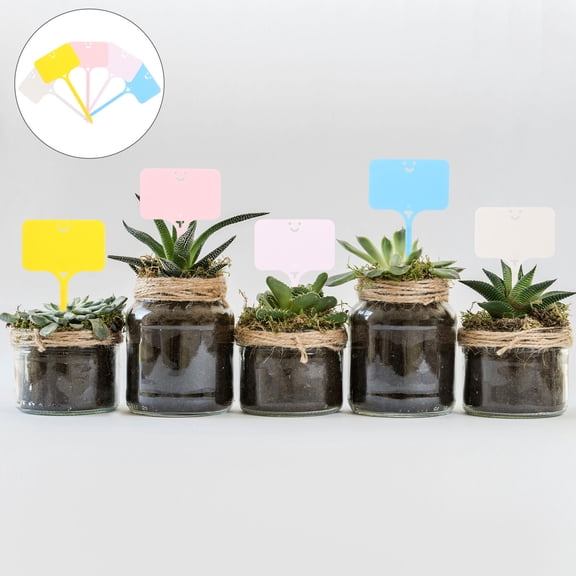 SEWACC 50Pcs Light Purple Plant Label for T-Flower Label 9.6x4.9x0.1in