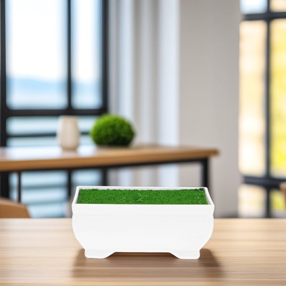 SEWCHICS 1Set Flower Planter Plastic Pot with Stable Design for Home and Office Decoration