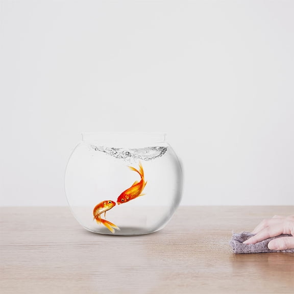 SEWCHICS 1 Set of Transparent Fish Tank for Fish Store Decor Modern Round Plastic