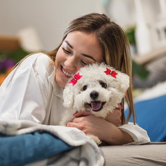 SEWCHICS 10Pcs Pet Hair Rope Assorted Color Dog Hair Accessories for Stylish Pet Festival Look