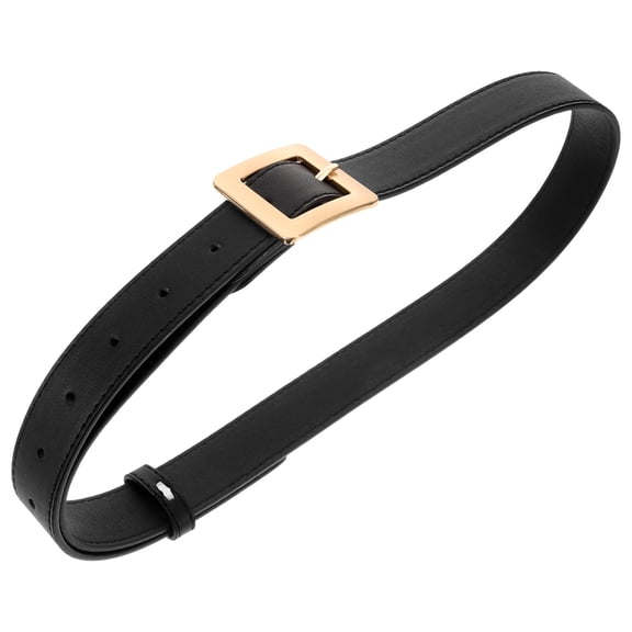 SEWCHICS Belt with Golden D-Shaped Buckle, PU and Alloy Materials, Stylish and Fashion Accessory