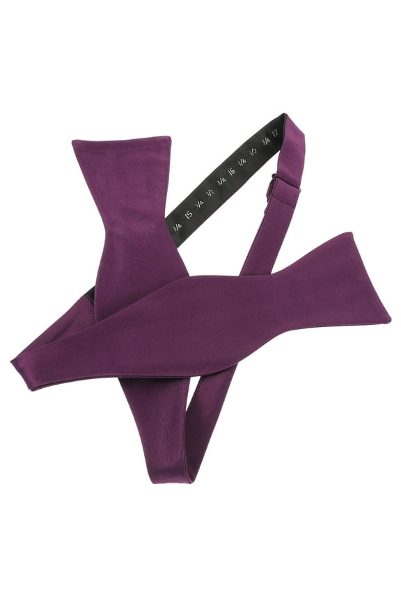 Puff Tie Accessory for Weddings, Anniversaries & Special Occasions - Elegant Decorative Fashion Piece