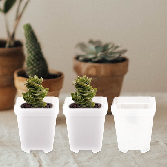 SEWCHICS 24pcs Sturdy Clear Plastic Mini Planters for Indoor Plants Home Decor and Vegetable Gardening