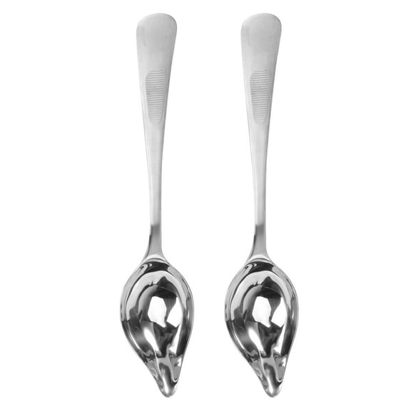 SEWCHICS Set of 2 Mini Spoons for Spice Jars, Condiment Scoops for Kitchen, Cooking, Coffee Shop Use