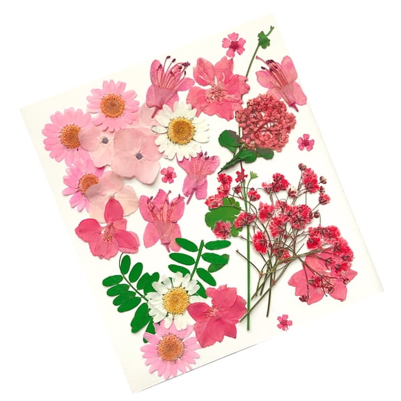 SEWCHICS 30pcs Daisies Pressed Flowers DIY Craft Materials Synthetic Material Pink Flowers for Handicraft Enthusiasts