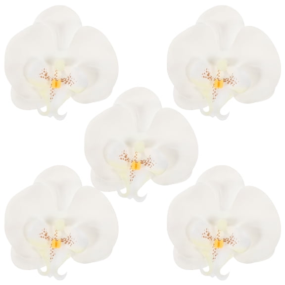 SEWCHICS Artificial Phalaenopsis Orchid Flowers 5 Pcs Indoor Home Decor Style Realistic Silk Plants