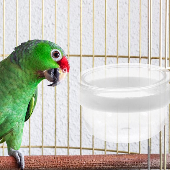 SEWCHICS 5pcs Convenient Bird Feeder Water Cup Transparent PVC for Birds