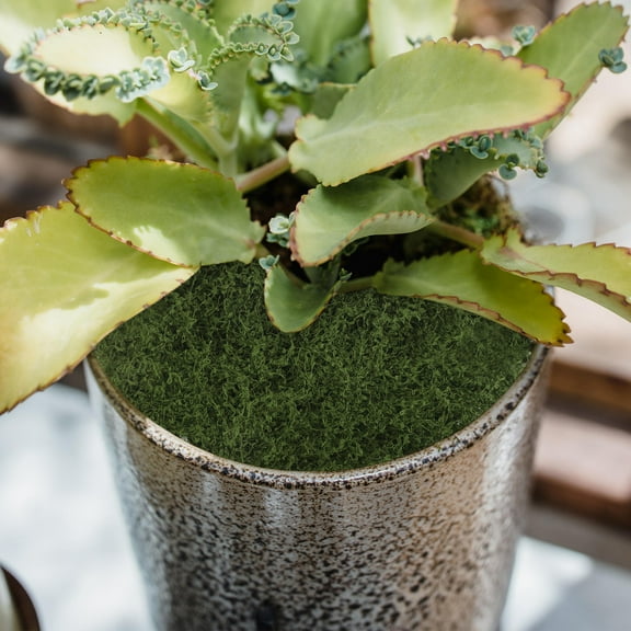 SEWCHICS Artificial Grass for Crafts Green Yarn Moss Decorative Indoor Plants Versatile Greenery for DIY Projects 36x48 Inches