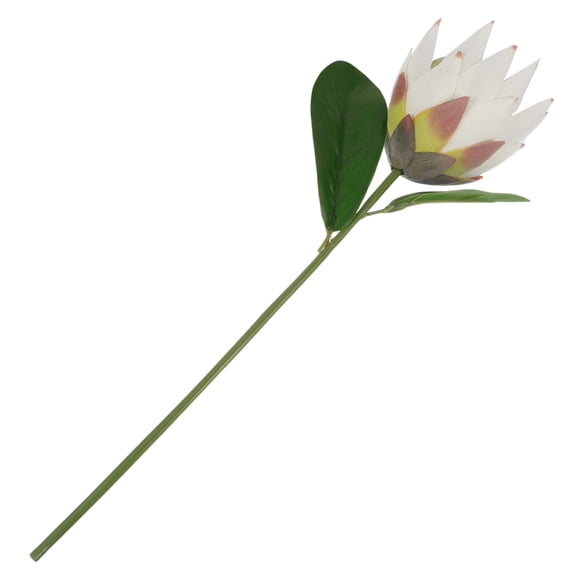 SEWCHICS Artificial Protea Flower for Home and Wedding Decor White Fabric and Rubber Simulation Flower 22 Inches