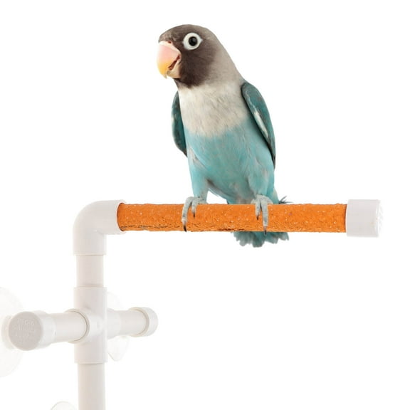 SEWCHICS Parrot Stand Holder Shower Perch in White for Small Birds with Easy Install