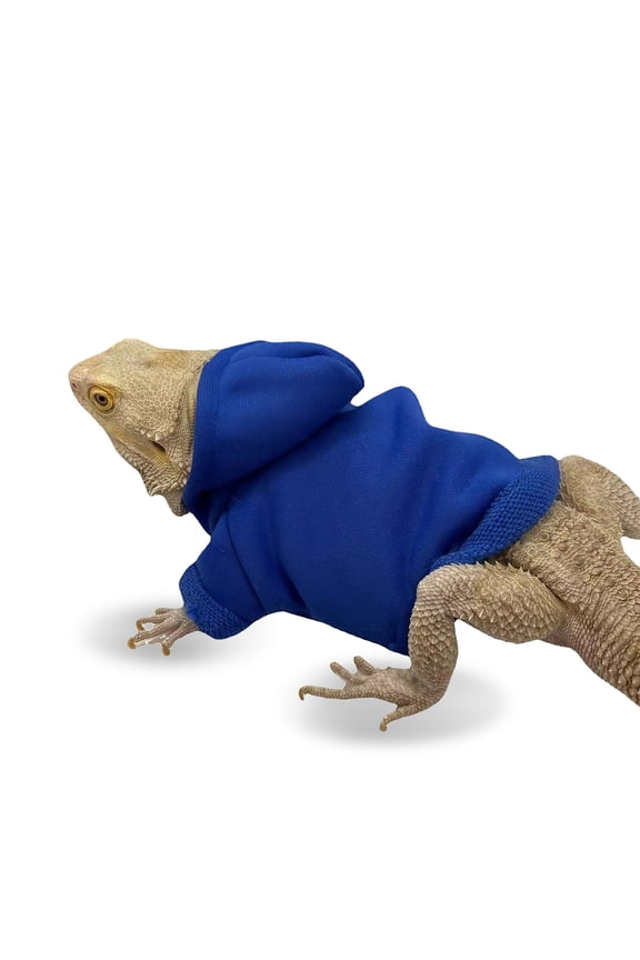 Dark Blue Cotton Lizard Clothes Adjustable Hooded Sweatshirt for Small Reptiles Outdoor Use
