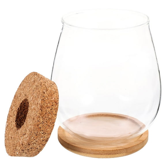 SEWCHICS Clear Glass Flower Pot Terrarium Jar for Plants, Home Decor, Indoor Garden, 1 Set