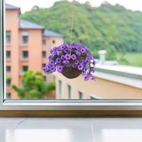 SEWCHICS Chocolate Coconut Shell Hanging Basket Planter for Indoor Garden, Orchids, , and Small Plants