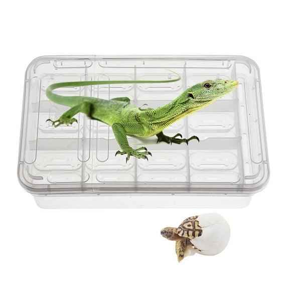 SEWCHICS Reptile Incubator Isolation Box with Design for Safe and Efficient Hatching