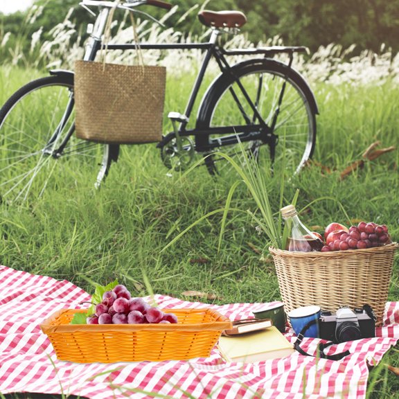 SEWCHICS Plastic Woven Basket Multi Shallow Storage Basket for Kitchen Use 2Pack