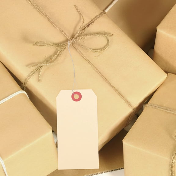 SEWOART 100 pcs Label Tags with ng for Packaging in Brown Color