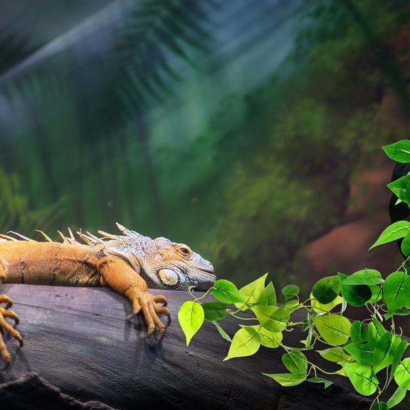 SEWOART 2Pcs Premium Fabric and Plastic Reptile Vines Plants for Turtle and Snake Tank Decor