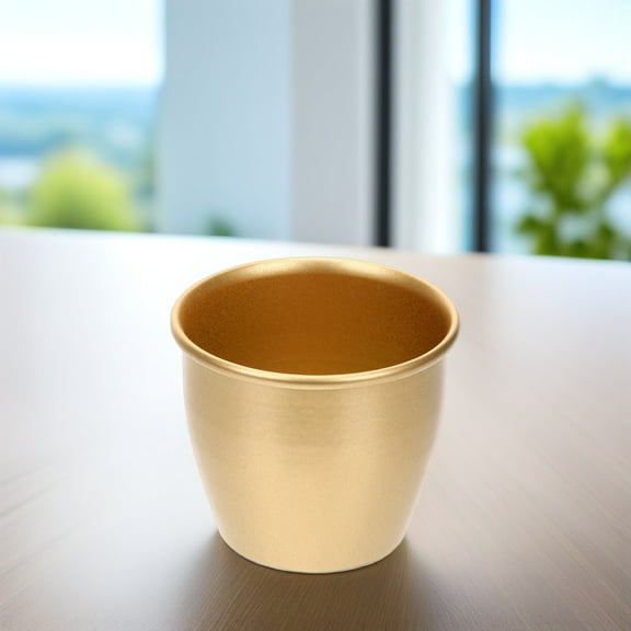 SEWOART Iron Art Flowerpot Golden for Indoor Plant Display and Storage