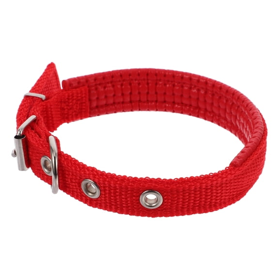 SEWOART Red Comfortable Pet Collar with Foam Padding and Firm Alloy Buckle for Dogs and Cats