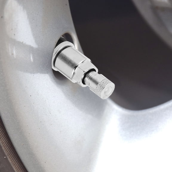 SEWOART 10Pcs Plated Silver Tire Valve Stems Metal Bolt-in Tubeless Valves Stems Reliable for Car and Truck Use