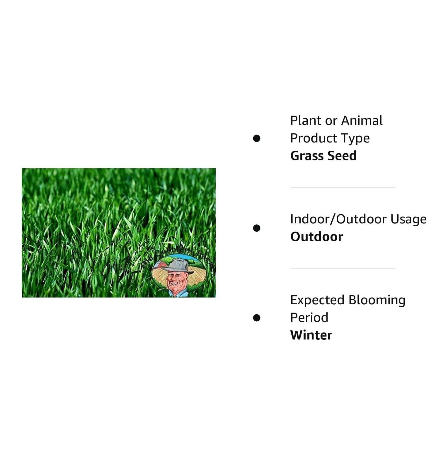 SEYATPOOL Rye Grass Seed for Lawn Fast Growing Winter Grass Seed