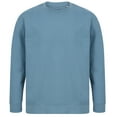 thumbnail image 1 of SF  Adult Fashion Sustainable Sweatshirt, 1 of 4