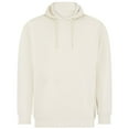 thumbnail image 1 of SF  Adult Sustainable Hoodie, 1 of 2