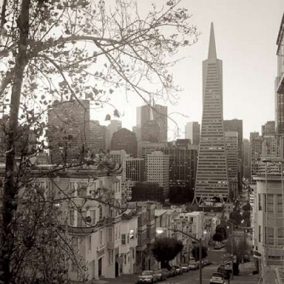 SF Skyline - 3 Canvas Art - Alan Blaustein (24 x 24)