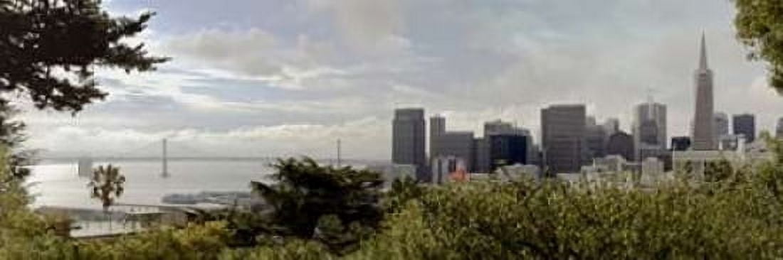 SF Skyline Pano - 109 Canvas Art - Alan Blaustein (12 x 36)