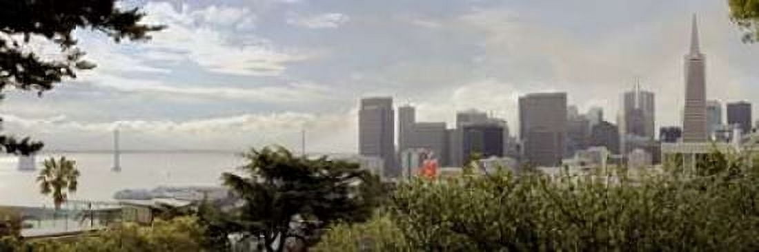 SF Skyline Pano - 110 Canvas Art - Alan Blaustein (8 x 24)